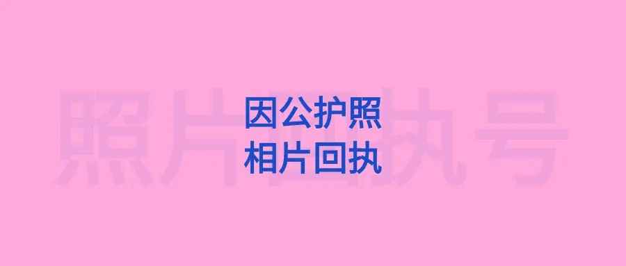 因公护照相片回执