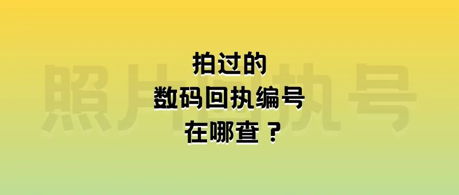 拍过的数码回执编号在哪查？