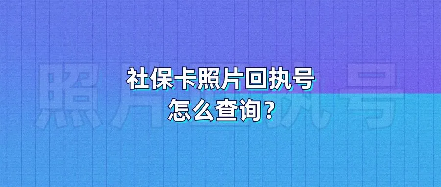 社保卡照片回执号怎么查询？