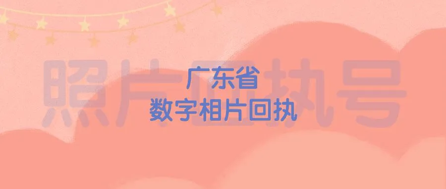 广东省数字相片回执