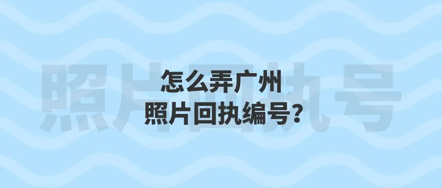 怎么弄广州照片回执编号？