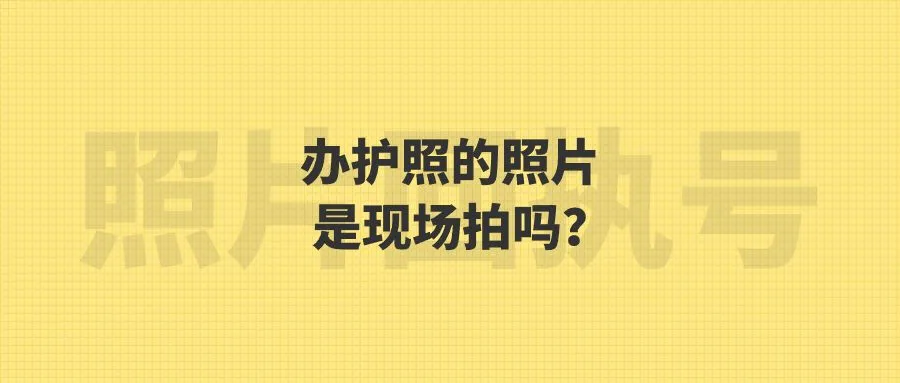 办护照的照片是现场拍吗？