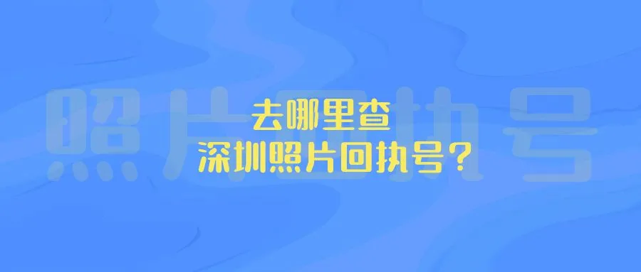 去哪里查深圳照片回执号？