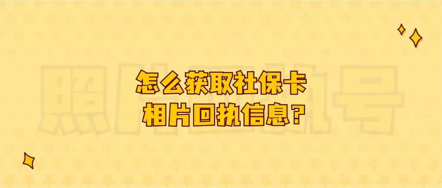 怎么获取社保卡相片回执信息？