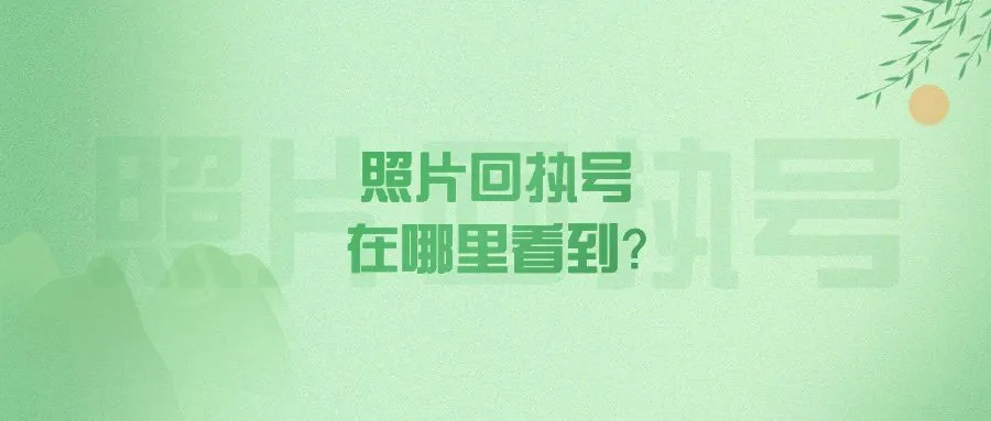 照片回执号在哪里看到？