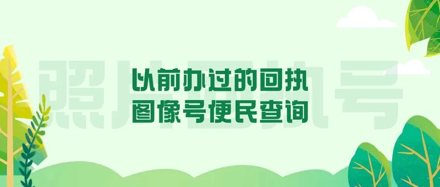 以前办过的回执图像号便民查询