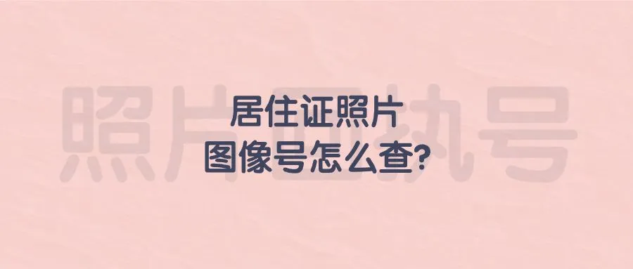 居住证照片图像号怎么查？