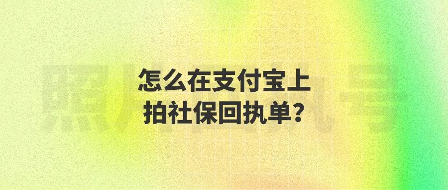 怎么在支付宝上拍社保回执单？