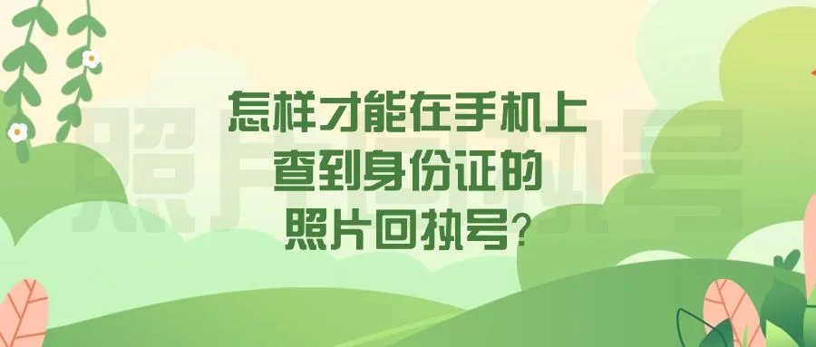 怎样才能在手机上查到身份证的照片回执号？