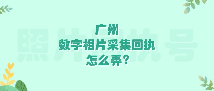 广州数字相片采集回执怎么弄？