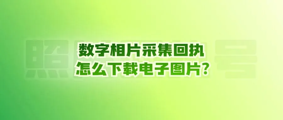 数字相片采集回执怎么下载电子图片？