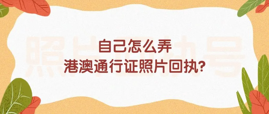 自己怎么弄港澳通行证照片回执？