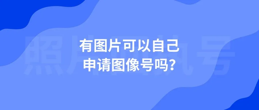 有图片可以自己申请图像号吗？