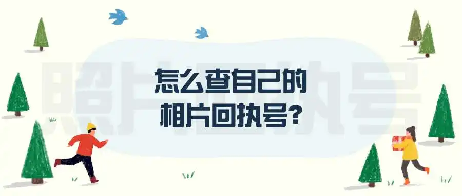 怎么查自己的相片回执号？