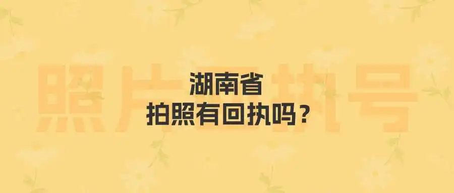 湖南省拍照有回执吗？