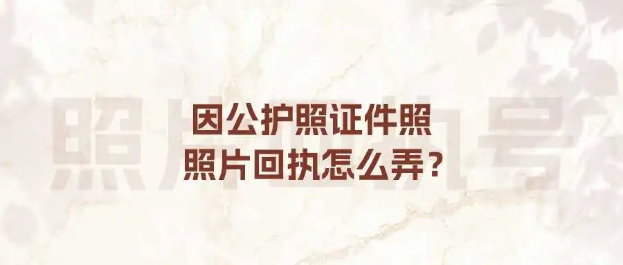 因公护照证件照照片回执怎么弄？