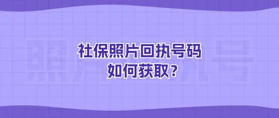 社保照片回执号码如何获取？