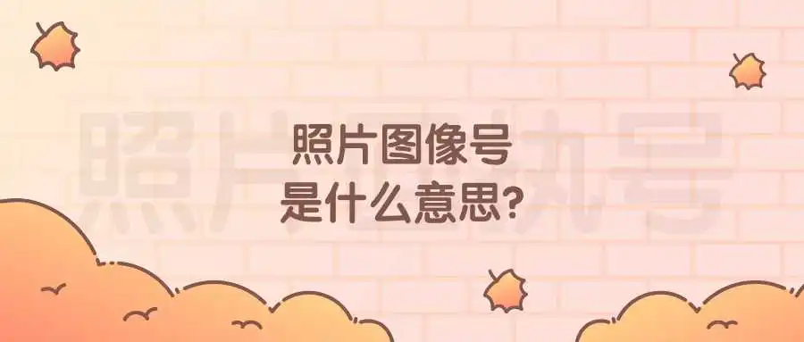 照片图像号是什么意思？