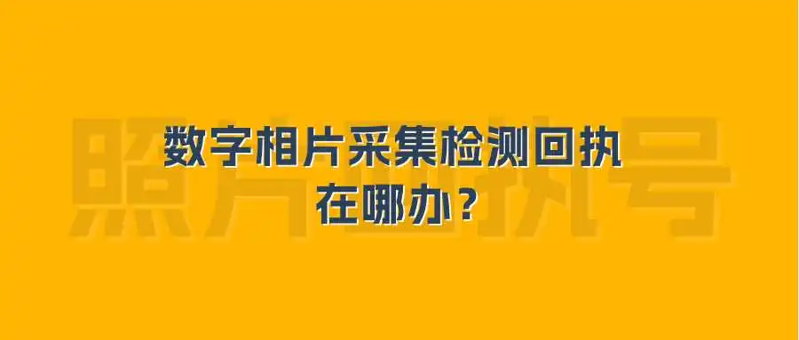 数字相片采集检测回执在哪办？