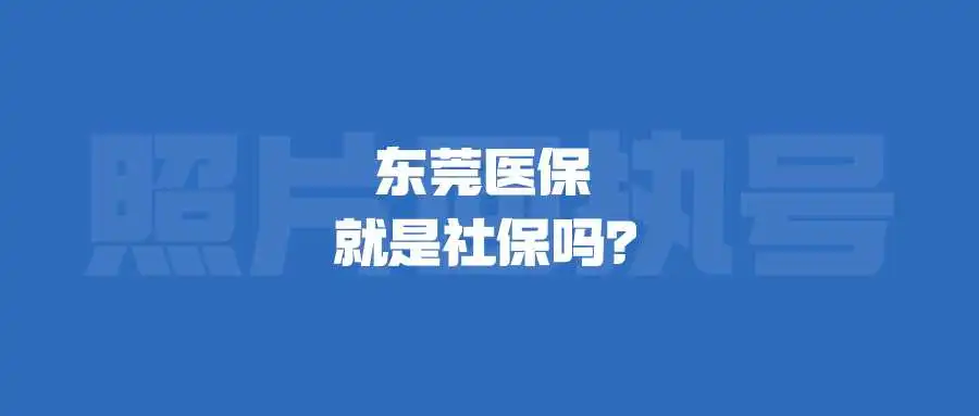 东莞医保就是社保吗？