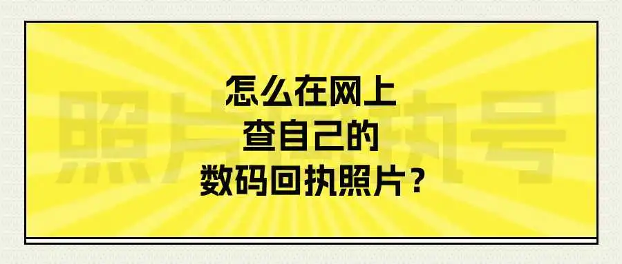 怎么在网上查自己的数码回执照片？