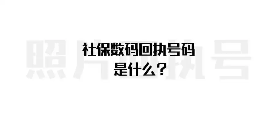 社保数码回执号码是什么？