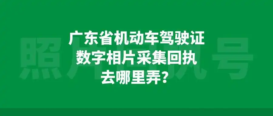 广东省机动车驾驶证数字相片采集回执去哪里弄？