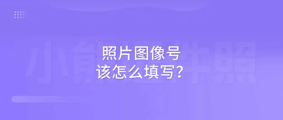 照片图像号该怎么填写？