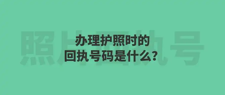 办理护照时的回执号码是什么？