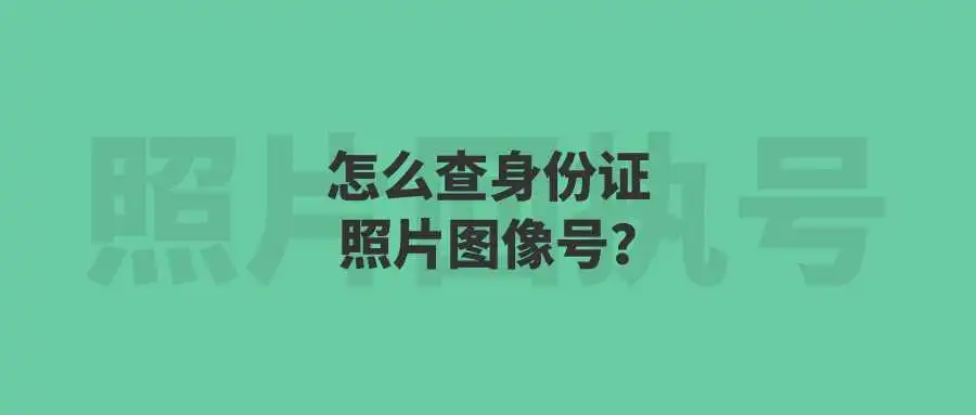 怎么查身份证照片图像号？