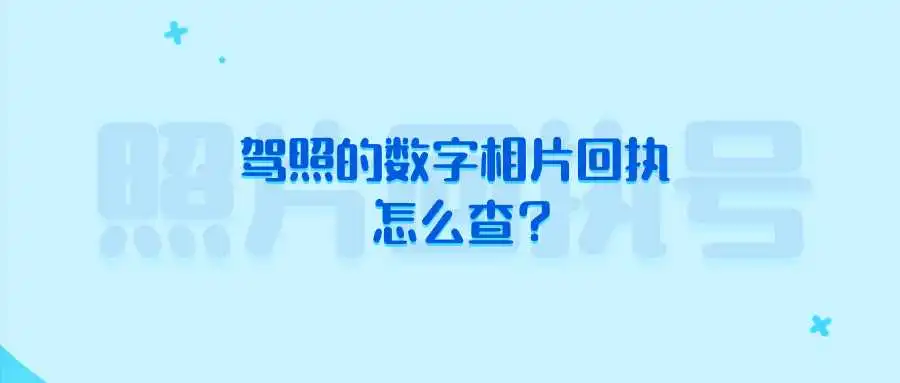 驾照的数字相片回执怎么查？