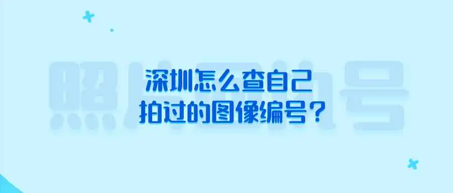 深圳怎么查自己拍过的图像编号？