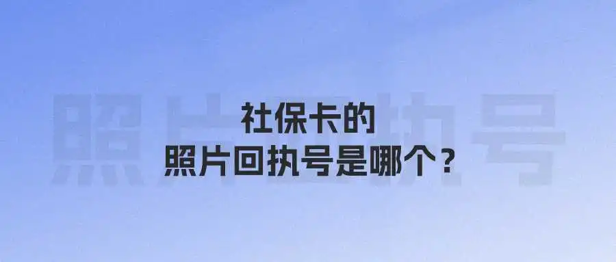 社保卡的照片回执号是哪个？