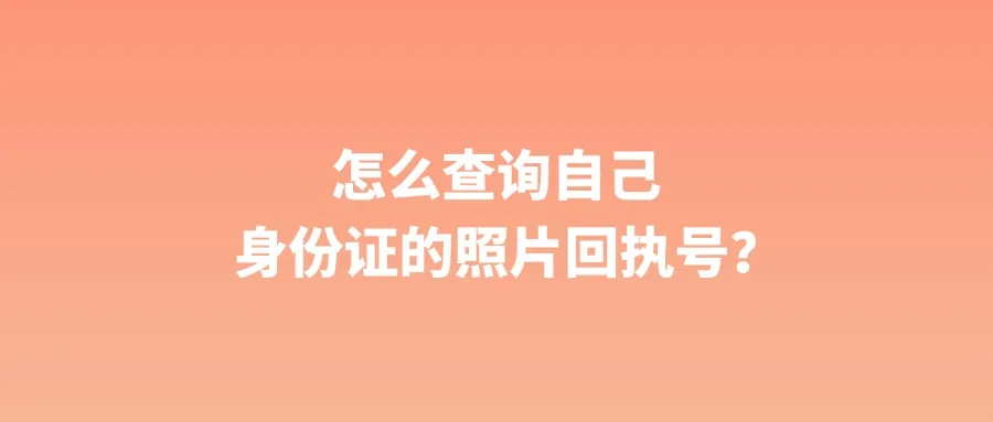 怎么查询自己身份证的照片回执号？