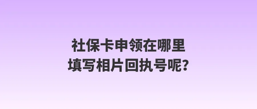 社保卡申领在哪里填写相片回执号呢？