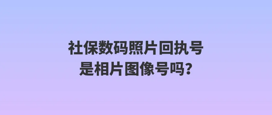 社保数码照片回执号是相片图像号吗？